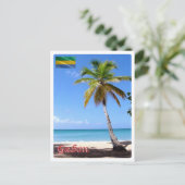 Carte Postale Gabon - Palmier - (Debout devant)