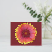 Carte Postale Gaillardia 1 (Debout devant)