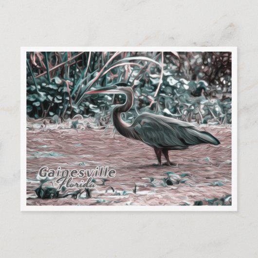 CARTE POSTALE GAINESVILLE FLORIDA (Devant)