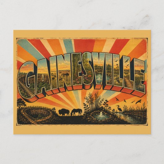Carte Postale Gainesville Jardins de prairie de Floride Sources (Devant)