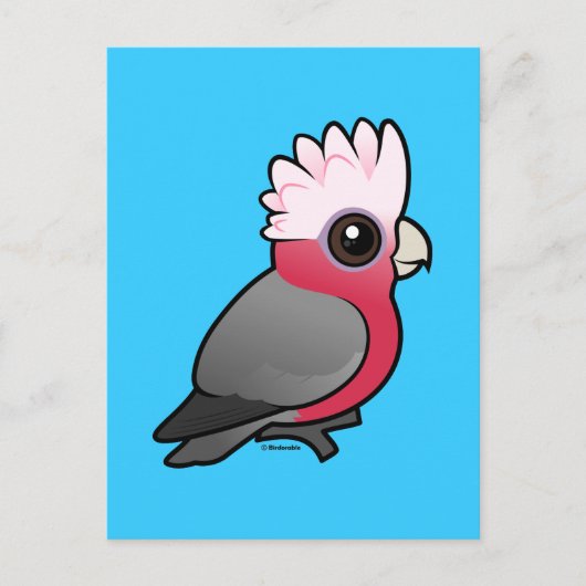 Carte Postale Galah Birdorable (Devant)
