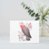 Carte Postale Galah Cockatoo (Debout devant)