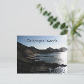 Carte Postale Galapagos Islands (Debout devant)