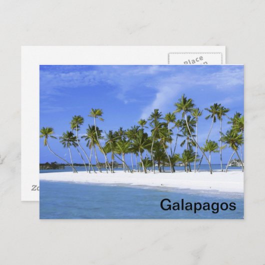 Carte Postale Galapagos - plage (Devant / Derrière)