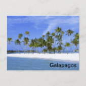 Carte Postale Galapagos - plage (Devant)
