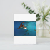 Carte Postale Galapagos sous-marin Rayons d'aigle tacheté (Debout devant)