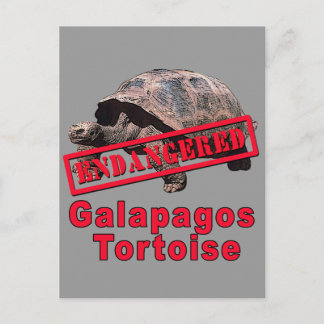 Carte Postale Galapagos Tortoise Tshirts d'art en voie de dispar