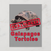 Carte Postale Galapagos Tortoise Tshirts d'art en voie de dispar (Devant)