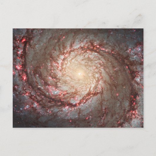 Carte Postale Galaxie du Tourbillon (Devant)