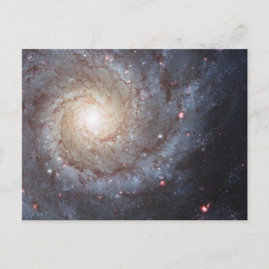 Carte Postale Galaxie spirale M74 (Devant)