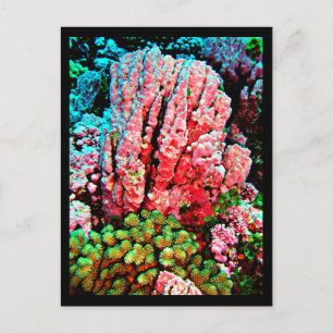 Carte postale - Galerie aquatique-7