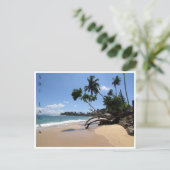 Carte Postale galerie de plage unawatuna (Debout devant)