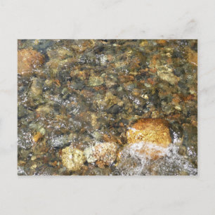 Carte Postale Galets brun et gris usés par la rivière Abstrait n