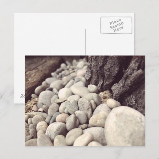 Carte Postale Galets de Plage (Devant / Derrière)