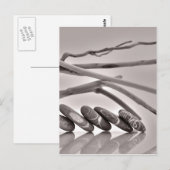 Carte Postale Galets et bois flotté (Devant / Derrière)