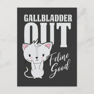 Carte Postale Gallbladder Feline Good Surgery Recovery Amoureux 
