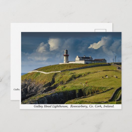Carte Postale Galley Head Lighthouse, Comté de Cork, Irlande (Devant / Derrière)