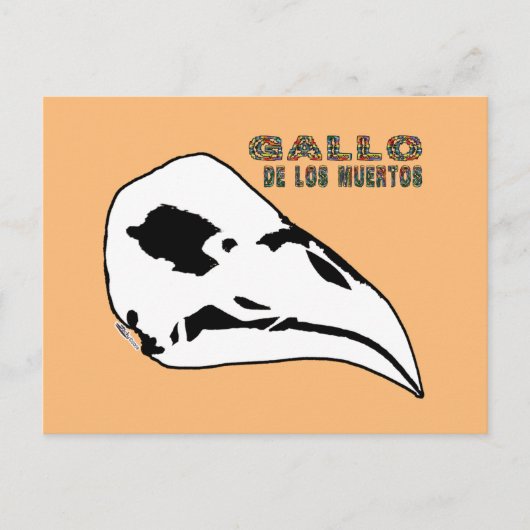 Carte Postale Gallo De Los Muertos (Devant)