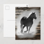 Carte Postale Galloping de Wild Horse (Devant / Derrière)