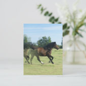 Carte postale Galloping Mustangs (Debout devant)