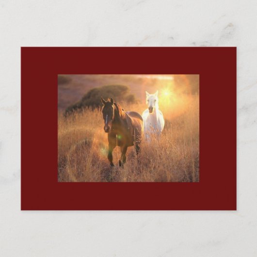 Carte postale Galloping Wild Horses (Devant)