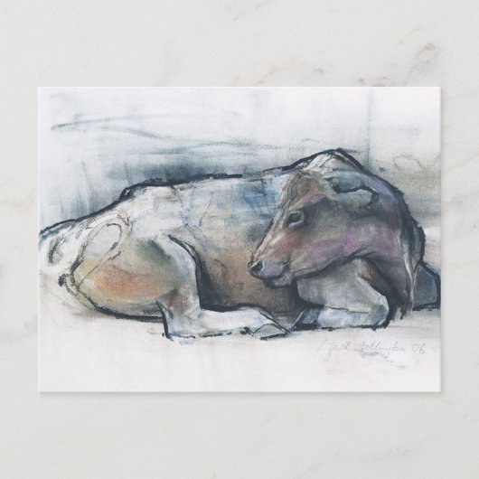 Carte Postale Galloway 2006 (Devant)