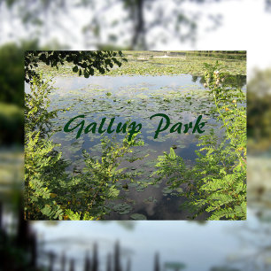 Carte Postale Gallup Park À Ann Arbor