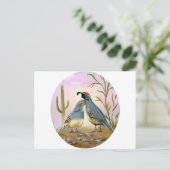 Carte Postale Gambel Quails (Debout devant)