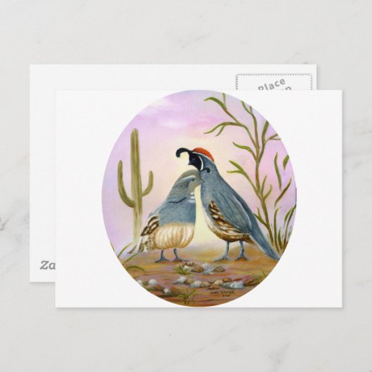 Carte Postale Gambel Quails (Devant / Derrière)