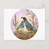 Carte Postale Gambel Quails (Devant)