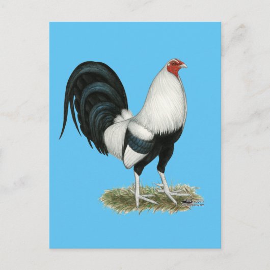 Carte Postale Gamecock argenté (Devant)