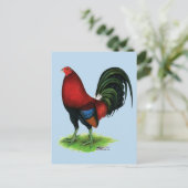 Carte Postale Gamecock : Rouge foncé (Debout devant)