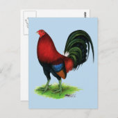 Carte Postale Gamecock : Rouge foncé (Devant / Derrière)