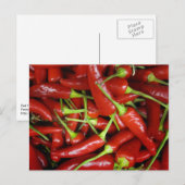 Carte Postale Gamme de cadeaux Red Chili Peppers (Devant / Derrière)