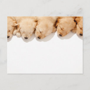 Carte Postale Gamme de Marionnettes dormantes