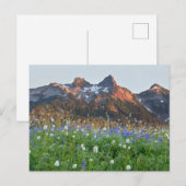 Carte Postale Gamme de tatouages et Fleurs sauvages | Mt. Rainie (Devant / Derrière)