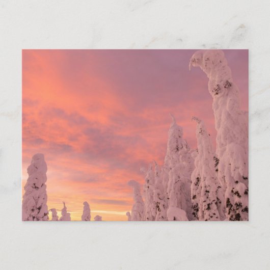 Carte Postale Gamme de Whitefish | Whitefish, Montana (Devant)