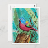 Carte Postale Gamme d'oiseaux (Devant / Derrière)