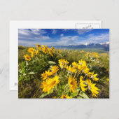 Carte Postale Gamme nationale de bisons (Devant / Derrière)