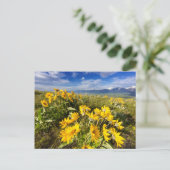 Carte Postale Gamme nationale de bisons (Debout devant)