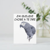 Carte Postale Gamme Perroquet - Gris du Gabon (Debout devant)