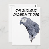 Carte Postale Gamme Perroquet - Gris du Gabon (Devant / Derrière)