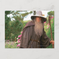 GANDALF™ avec Casquette