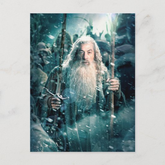 Carte Postale Gandalf Le Grey (Devant)