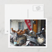 Carte postale Gang of Doxies (Devant / Derrière)