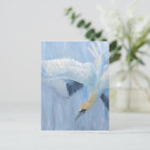 Carte Postale Gannets de plongée cadeaux uniques pour vous (Debout devant)