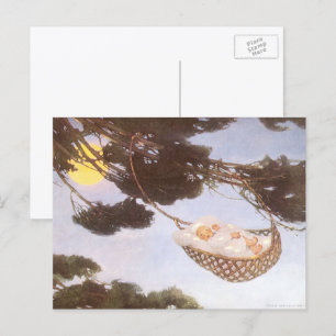 Carte Postale Garçon dans l'arbre de Hassoc par Jessie Willcox S