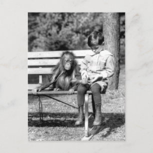 Carte Postale Garçon & Orang-outan Vintage National Zoo Washingt