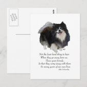 Carte Postale Garde de Pomeranian noir (Devant / Derrière)