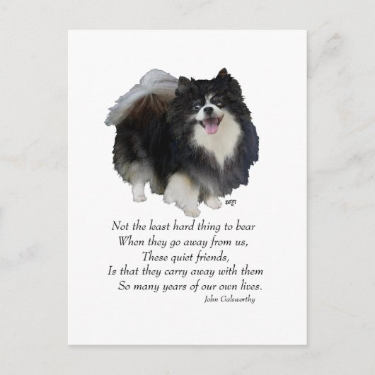 Carte Postale Garde de Pomeranian noir (Devant)